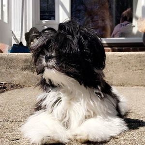 Meet your Posher, Ella